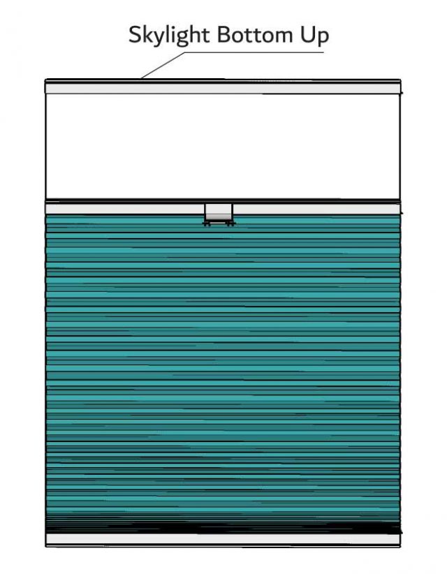 Skylight Bottom Up